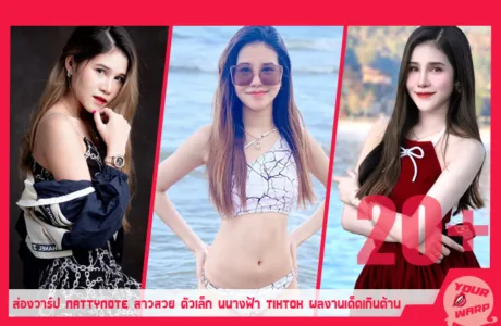 Yourwarp-Nattynote-NT-Profile