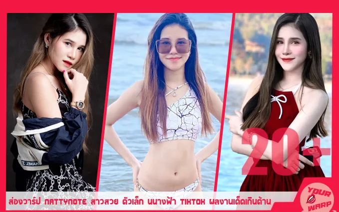 Yourwarp-Nattynote-NT-Profile