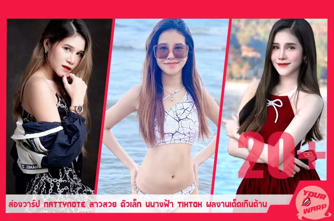 Yourwarp-Nattynote-NT-Profile