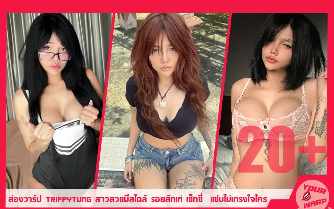 Yourwarp-Trippytung-TT-Profile