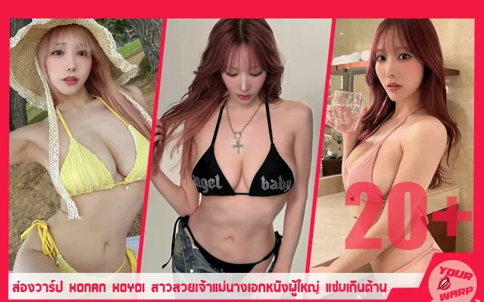 Yourwarp-Konan-Koyoi-Profile