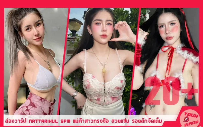 Yourwarp-Nattarikul-Spm-SP-Profile