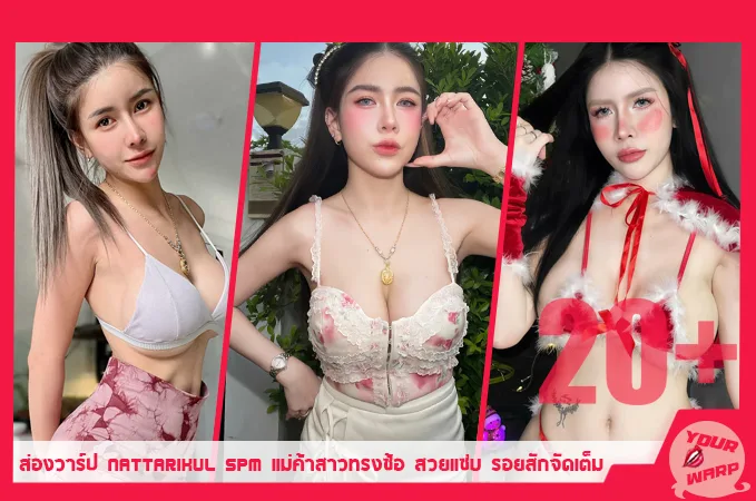 Yourwarp-Nattarikul-Spm-SP-Profile