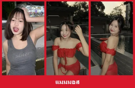 เปิดวาร์ป แมมมอส - yourwarp