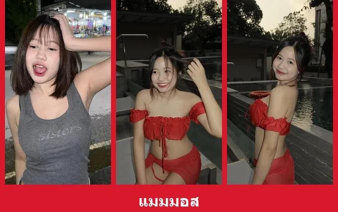 เปิดวาร์ป แมมมอส - yourwarp