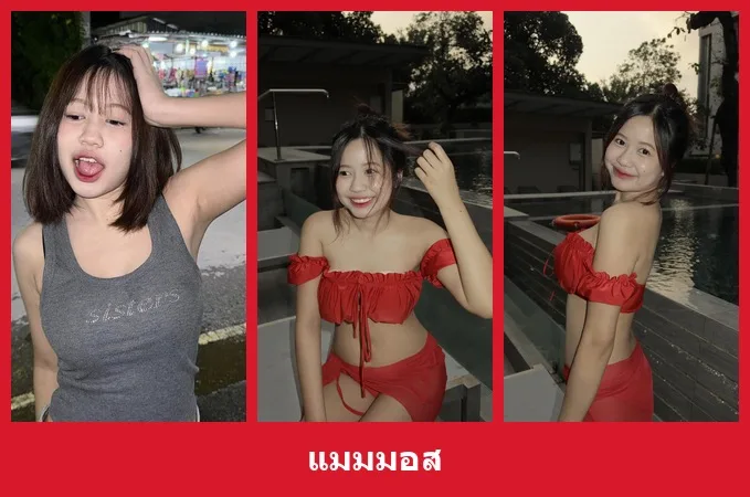 เปิดวาร์ป แมมมอส - yourwarp