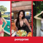 เปิดวาร์ป ponyprae - yourwarp