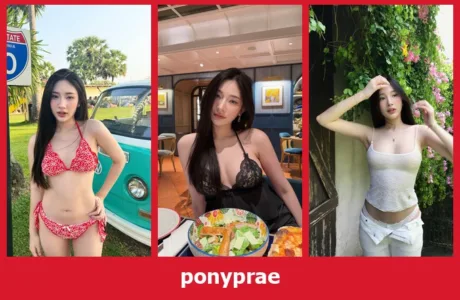เปิดวาร์ป ponyprae - yourwarp