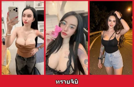 เปิดวาร์ป ทรายจิบิ - yourwarp