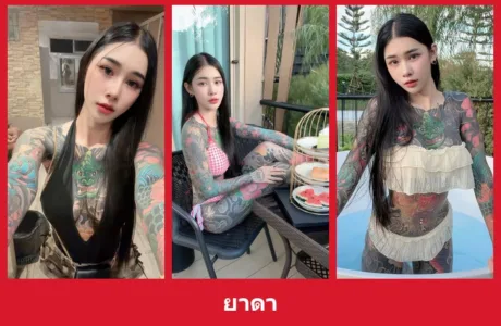 เปิดวาร์ป ยาดา - yourwarp