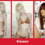 เปิดวาร์ป Sinesyn - yourwarp
