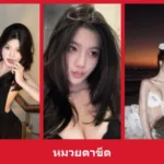 เปิดวาร์ป หมวยตาขีด - yourwarp