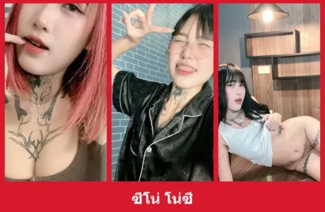 เปิดวาร์ป ซีโน่ โน่ซี - yourwarp